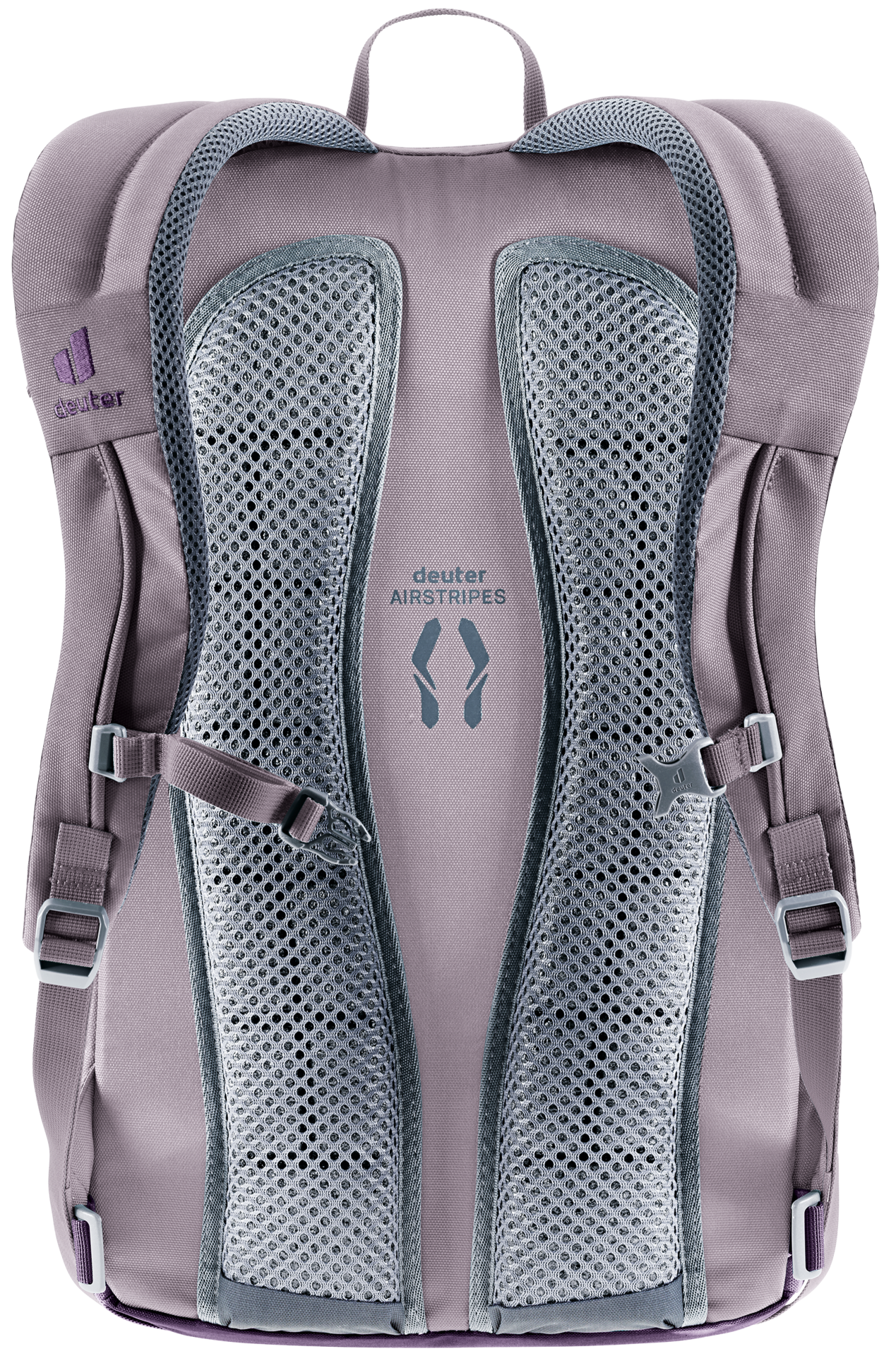 Deuter Gogo Lifestyle Padded 25 Litre Sporty Backpack - Lavender Purple