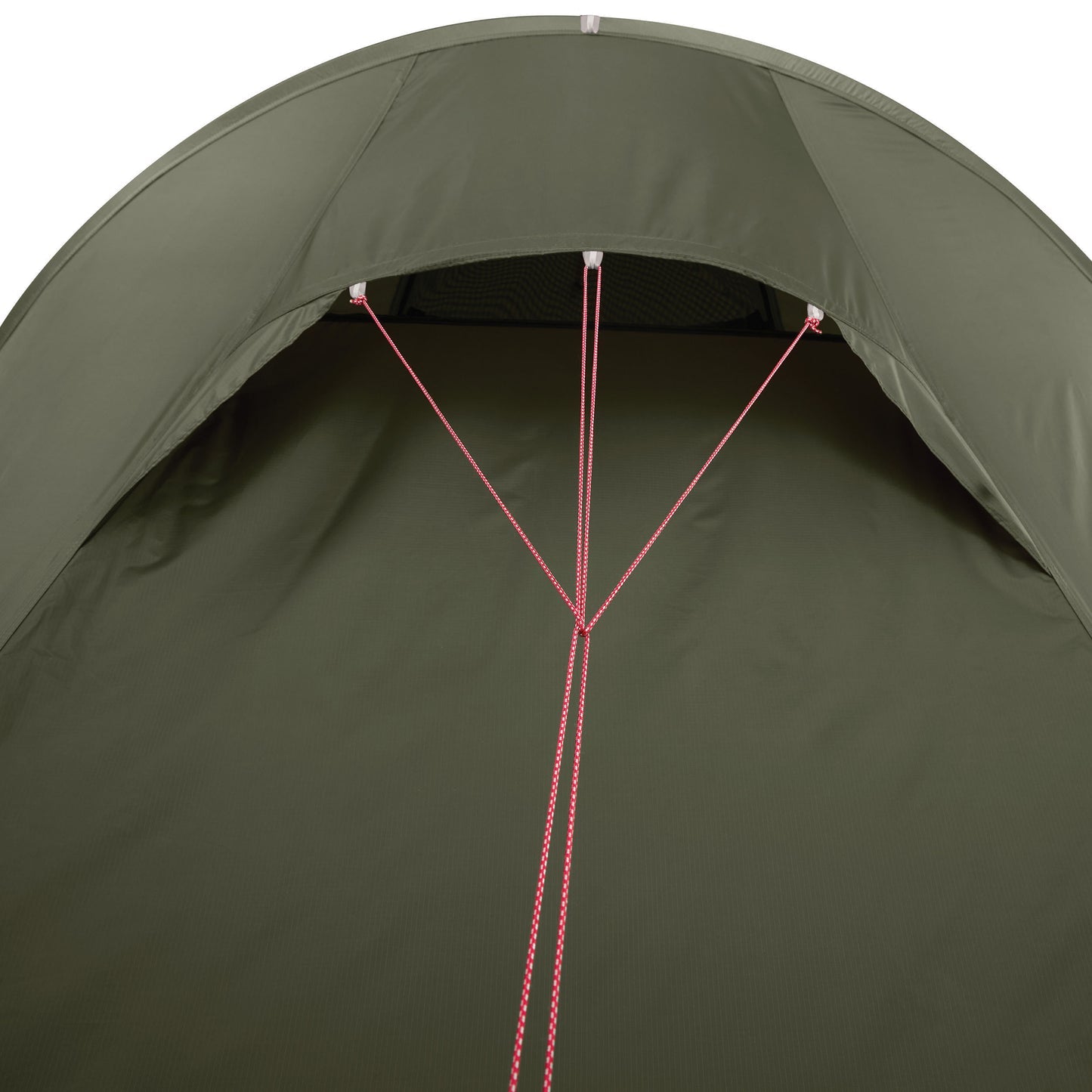 MSR Tindheim 3-Person Backpacking Tunnel Tent - Green
