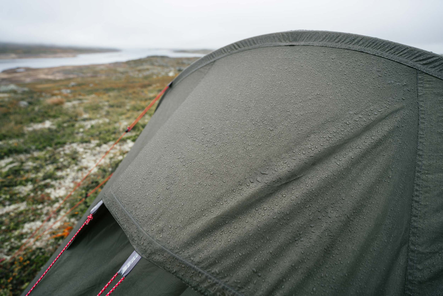 MSR Tindheim 3-Person Backpacking Tunnel Tent - Green