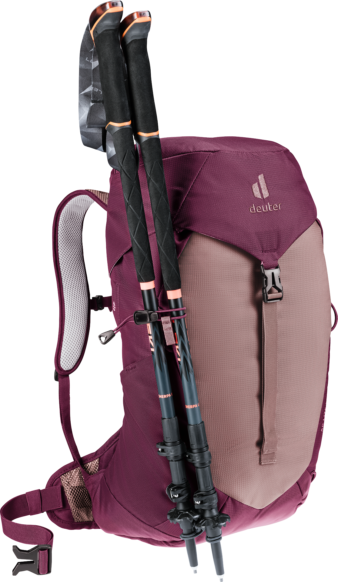 Deuter AC Lite 14 SL Women's Fit Lightweight Hiking Backpack - Ashrose Cassis