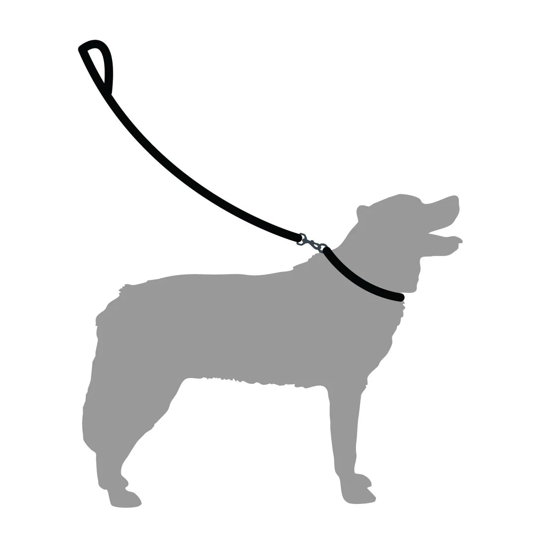 Mountain Paws Extra Tough Dog Lead - Navy