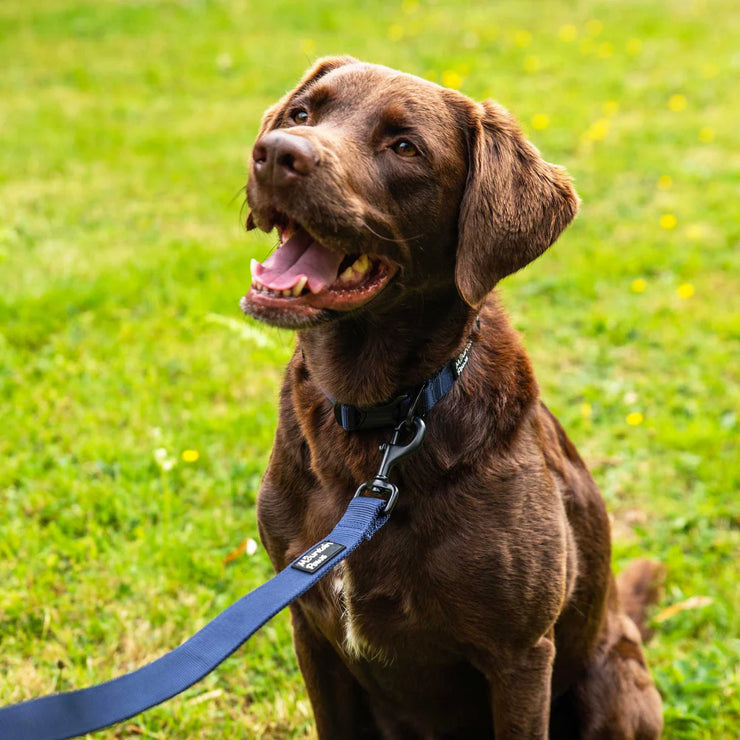 Mountain Paws Extra Tough Dog Lead - Navy