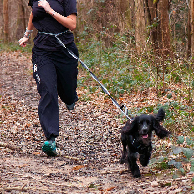 Mountain Paws Shock Absorber Dog Lead - Black