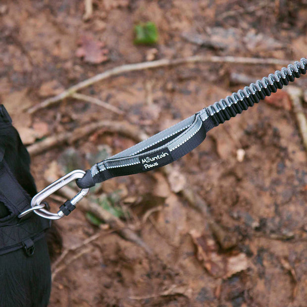 Mountain Paws Shock Absorber Dog Lead - Black