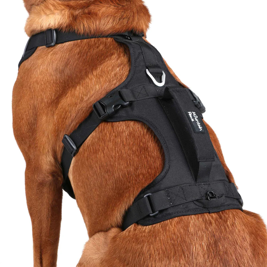 Mountain Paws Adjustable 3 Strap Dog Harness - Black
