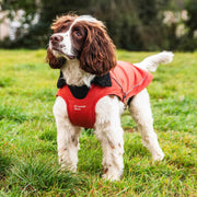 Mountain Paws Fleece Lined Waterproof Dog Coat - Orange