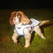 Mountain Paws Fleece Lined Waterproof Dog Coat - Reflective