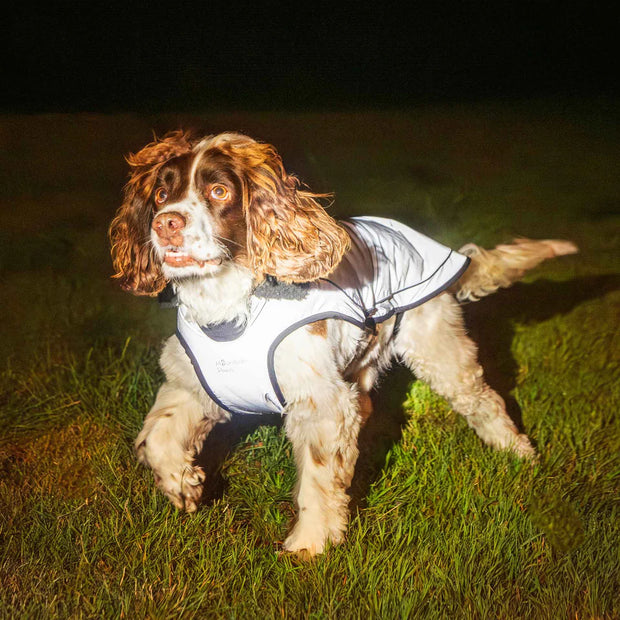Mountain Paws Fleece Lined Waterproof Dog Coat - Reflective