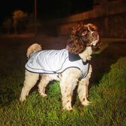 Mountain Paws Fleece Lined Waterproof Dog Coat - Reflective