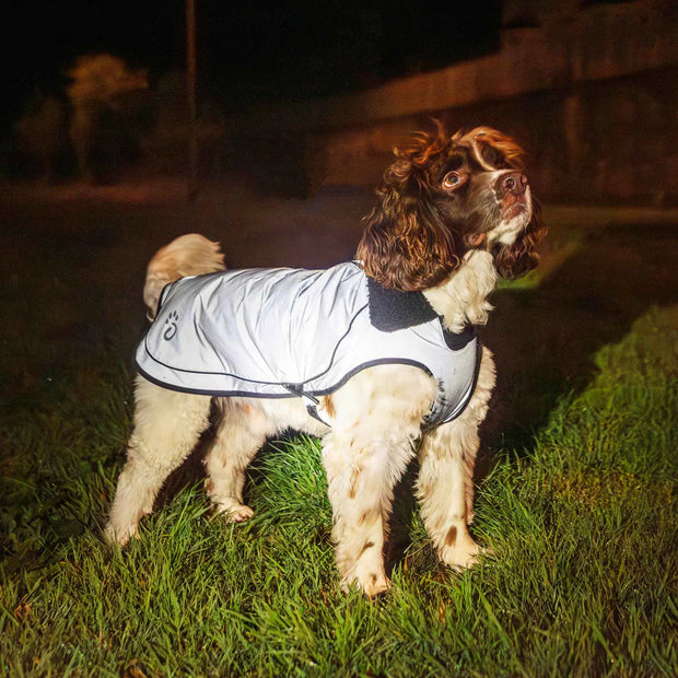 Mountain Paws Fleece Lined Waterproof Dog Coat - Reflective