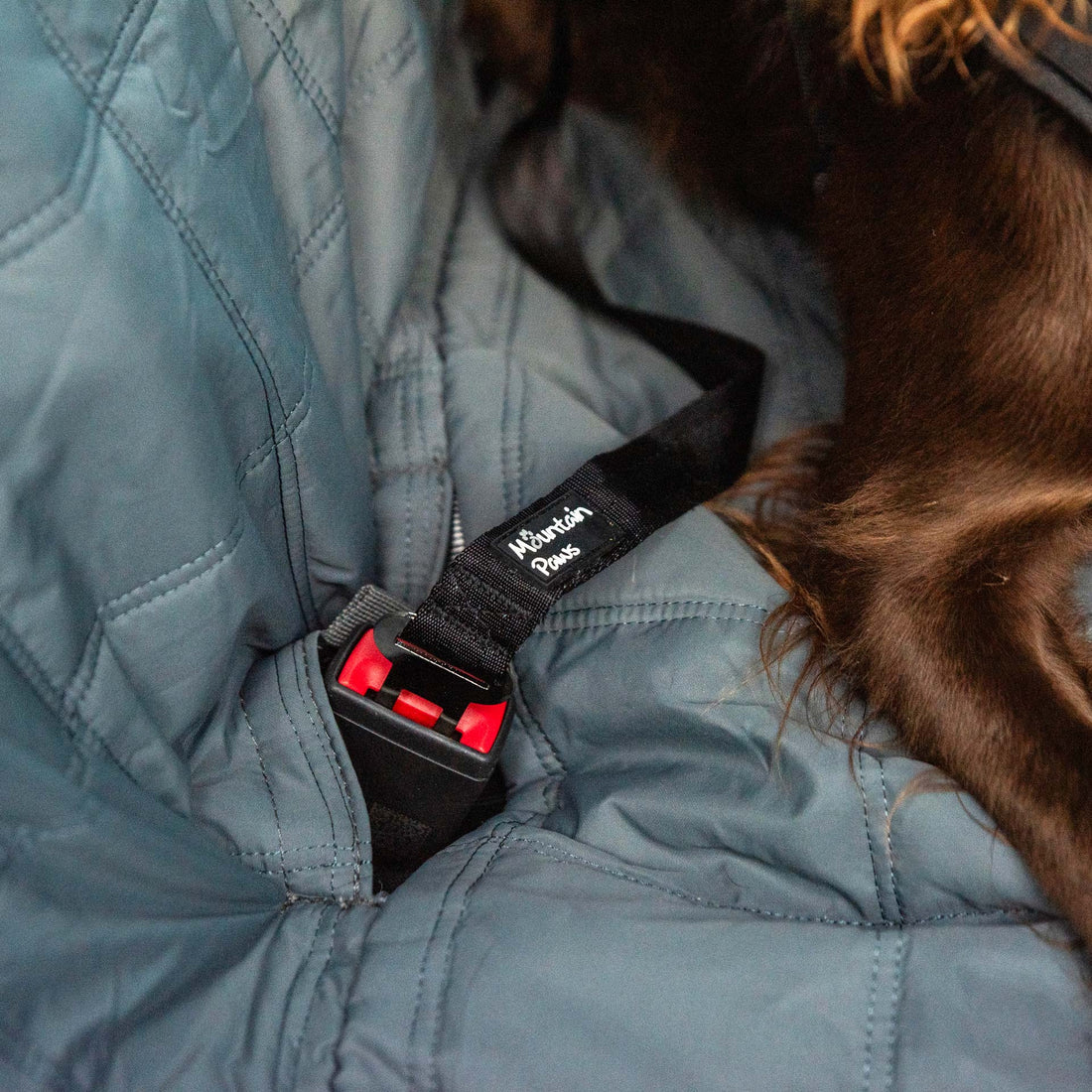 Mountain Paws Dog Car Back Seat Cover