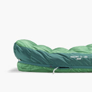 Sea To Summit Ascent -1°C Down Sleeping Bag - Regular Rain Forest Green