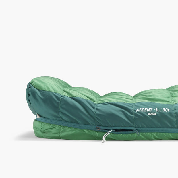 Sea To Summit Ascent -1°C Down Sleeping Bag - Regular Rain Forest Green