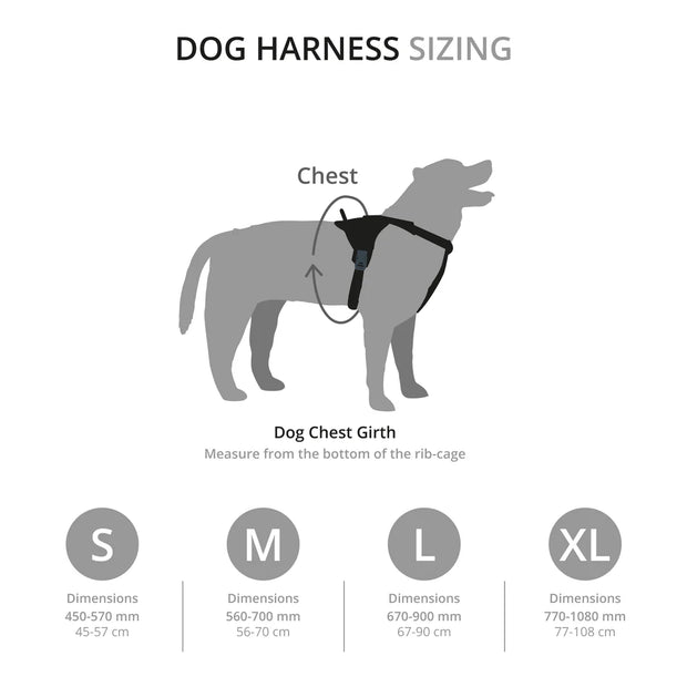 Mountain Paws Adjustable Dog Harness - Black