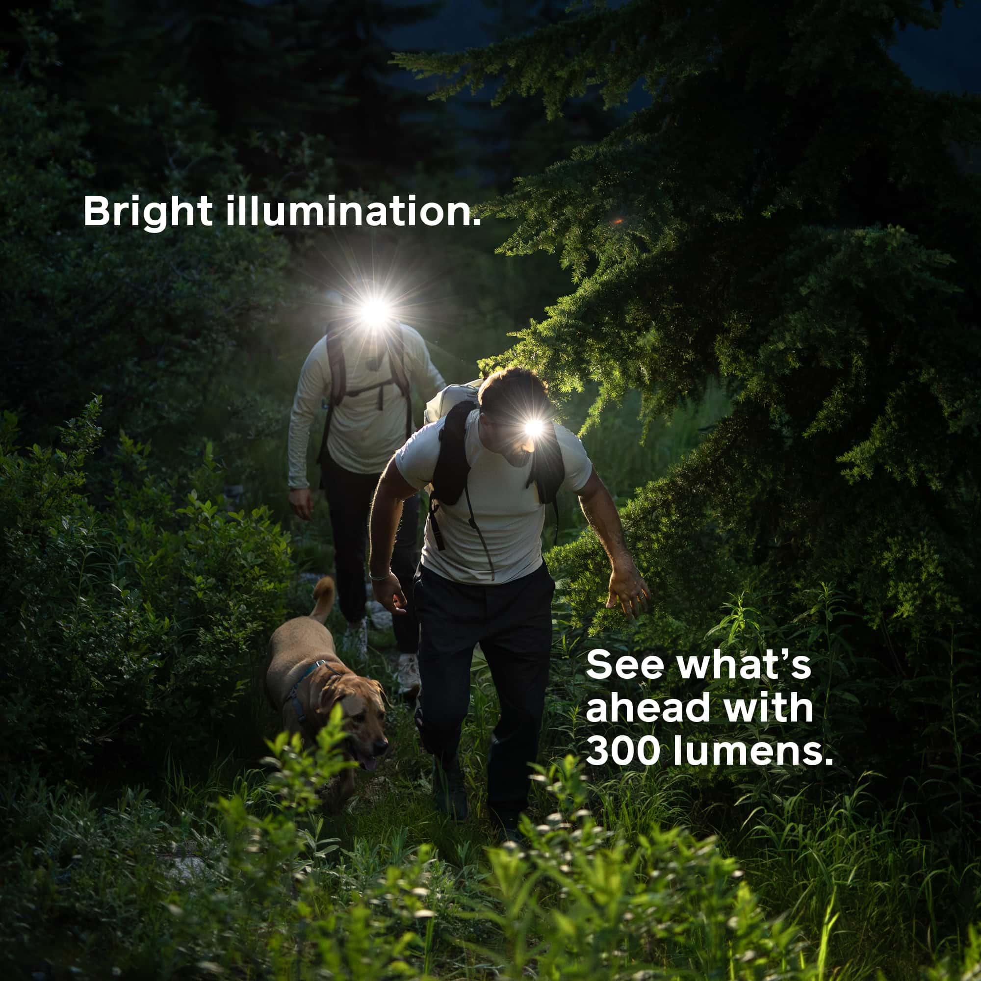 Biolite Range 300 USB-C Fast Charging Headlamp - Wild Fig
