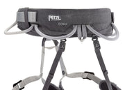 Petzl Corax Sport Climbing Harness